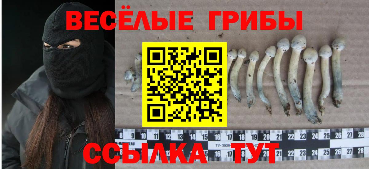 Галлюциногенные грибы MAGIC MUSHROOMS Отрадное